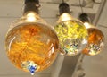 Glass crystal balls, aquatic plants and glass potted landscaping, crystal clear lighting, bright feeling