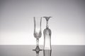 Glass crystal stemware champagne flute Royalty Free Stock Photo