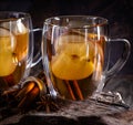 Glass Cup of Apple Cider Royalty Free Stock Photo