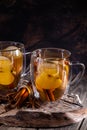 Glass Cup of Apple Cider Royalty Free Stock Photo