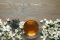 Glass cup of aromatic jasmine tea, dry leaves and fresh flowers on wooden table, flat lay. Space for text Royalty Free Stock Photo