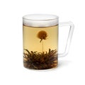 Glass cup with an Asian dried Jasmine tea flower and tea on white background Royalty Free Stock Photo