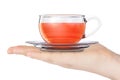 Glass Cup of Black Tea over Hand. 3d Rendering Royalty Free Stock Photo