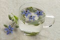 Glass cup with borage tea