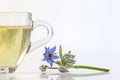Glass cup with borage tea and flowers Royalty Free Stock Photo