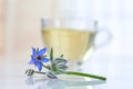 Glass cup with borage tea and flowers