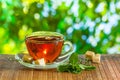 Glass cup with brewed tea stands on an old table Royalty Free Stock Photo