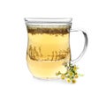 Glass cup of camomile tea on white background Royalty Free Stock Photo