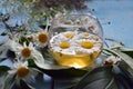 A cup of chamomile tea on a wooden background