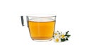 Glass cup of chamomile tea isolated on background Royalty Free Stock Photo