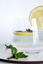 Glass cup containing mineral water with lemon and mint. Refreshing drink based on lemon and mint. Royalty Free Stock Photo