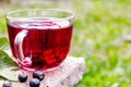 Glass cup of fruit tea with black currant berries on a wooden table in the open air Royalty Free Stock Photo