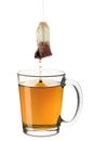 Cup of tea Royalty Free Stock Photo