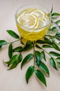 Glass cup of ginger tea with lemon served round frame green leaves ruscus flowers on a light wooden rustic wall Royalty Free Stock Photo