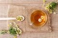 Glass cup of green tea with white chamomile flowers Royalty Free Stock Photo