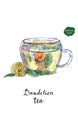 Glass cup of healthy dandelion tisane tea in watercolor. Herbal Royalty Free Stock Photo