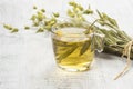 Glass cup of herbal sage tea with dried sage leaves on white wooden rustic background Royalty Free Stock Photo