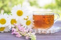 Glass cup of herbal tea and bouquet of white chamomile flowers Royalty Free Stock Photo