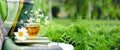 Glass cup of herbal tea with chamomile flower on books, warm green plaid on table outdoor. Cozy home, nature background in garden