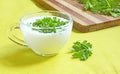 Glass cup with kefir Royalty Free Stock Photo