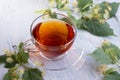 Glass cup of linden tea, and linden flowers on a white wooden table Royalty Free Stock Photo