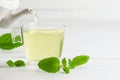 Glass cup of melissa herbal tea with fresh melissa leaf Royalty Free Stock Photo