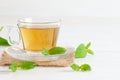 Glass cup of melissa herbal tea with fresh melissa leaf Royalty Free Stock Photo