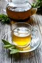 Glass cup of mint tea with mint leaves