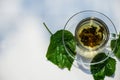 Glass cup of mulberry leaf tea on white table background. Healthy drinks concept. Herbal tea in glass cup and fresh mulberry Royalty Free Stock Photo
