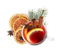 Glass cup of mulled wine, dried orange and fir branch on white background