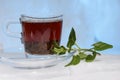 Glass cup of strong black tea on a beautiful blue background with green mint. Royalty Free Stock Photo