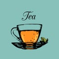 Glass cup of tea isolated.Vector transparent mug and saucer illustration.Hand drawn sketch of soft drink for menu design Royalty Free Stock Photo