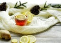 Glass cup of tea with lemon and ginger root slices, mint leaf on glass saucer on a rustic wooden table on background of the women Royalty Free Stock Photo