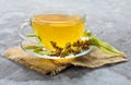 Glass cup of tea from linden flowers on a gray background. The concept of healthy teas. Royalty Free Stock Photo