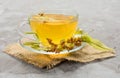 Glass cup of tea from linden flowers on a gray background. The concept of healthy teas. Royalty Free Stock Photo