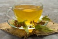 Glass cup of tea from linden flowers on a gray background. The concept of healthy teas. Royalty Free Stock Photo