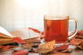 Glass cup of tea and opened book on table with autumn leaves. Sunlight in the window Royalty Free Stock Photo