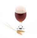 Glass of dark beer with ears barley Royalty Free Stock Photo