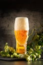 Glass of dark beer with hops around on a dark background Royalty Free Stock Photo