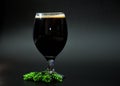 A glass glass of dark beer with thin white foam and ripe hops on a black background Royalty Free Stock Photo