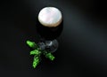A glass of dark beer with white foam and ripe hops on a black background Royalty Free Stock Photo