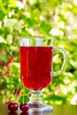 The glass with dark red cherry juice and cherries on a natural background Royalty Free Stock Photo