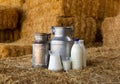 Fresh natural milk in decanter and cans on farm hayloft Royalty Free Stock Photo