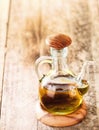 Glass decanter with olive oil Royalty Free Stock Photo