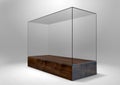 Glass Display Case Royalty Free Stock Photo