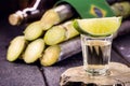 Glass of distilled beverage made from sugar cane, called the year Brazil de pinga or cachaÃÂ§a, concept of the national day of Royalty Free Stock Photo