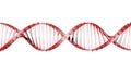 Glass DNA strand