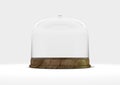 Glass Dome Display Case