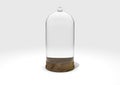 Glass Dome Display Case