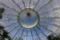 Glass Dome Roof In The Botanical Gardens Of Buffalo New York Royalty Free Stock Photo